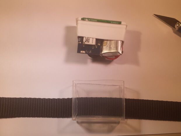 Ошейник для кота с GPS Ошейник для кота с GPS