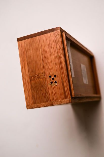 Поющее растение на базе Arduino Поющее растение на базе Arduino